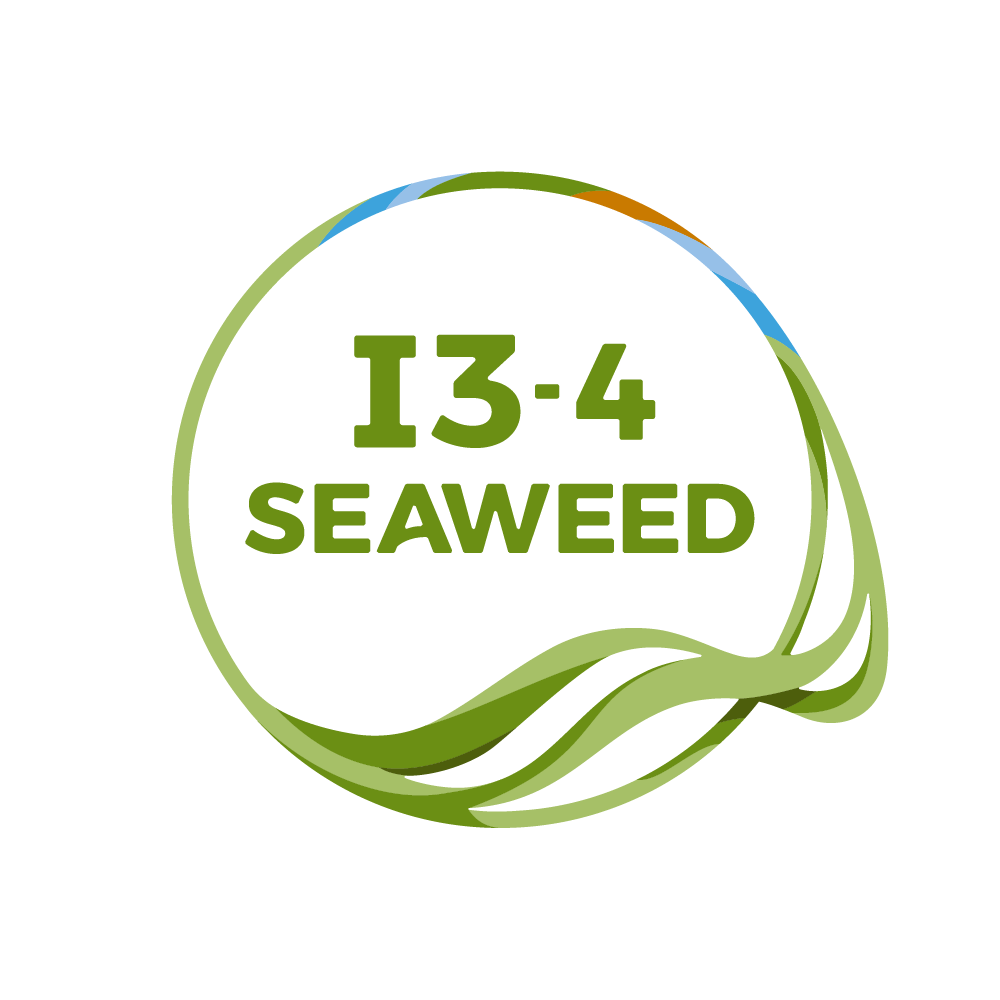 Investing in seaweed innovation across Europe